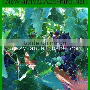Hdpe Agricultural Bird Netting, Plastic Garden Bird Catch Net for Sale thumbnail-1
