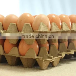 Compostable Wheat Straw 30 Egg Tray From Virgin Straw Pulp Not Waste Paper thumbnail-3