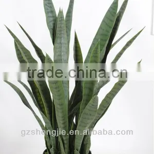 GuangZhou SJ Artificial Plants/artificial Green Sansewieria thumbnail-1