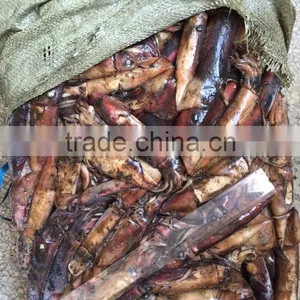 Balck Squid thumbnail-2