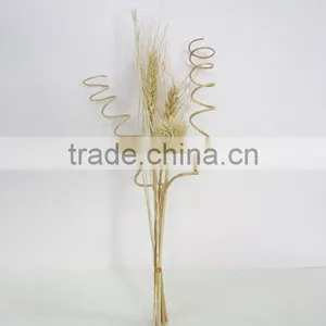 Factory Audited Colorful Aroma Straight Rattan Stick / Reed Stick/ Curl Rattan Reed Stick for Diffuser thumbnail-1