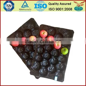 Different Sizes Free Samples Available Colorful Fruit Supermarket Trays Popular in Europe&U. S. Market thumbnail-1