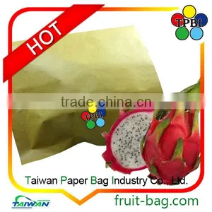 Taiwan Factory UV Protected Paper Bags for Fruit Grow Pitaya thumbnail-1