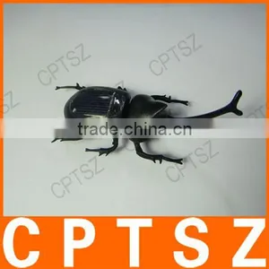 Solar Beetle Toy thumbnail-6