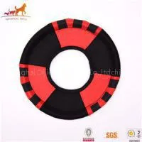 Frisbee Disc thumbnail-1