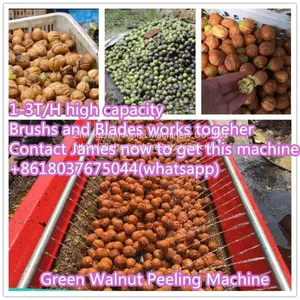Green Walnut Washing Peeling Machine Walnut Peeler Machine thumbnail-3