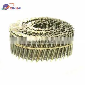 Coil Nail thumbnail-4