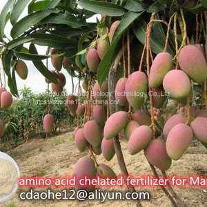 Plant Source Vegetable Fertilizer Amino Acid 52% Soluble Powder Free Aminoacids 45% thumbnail-3