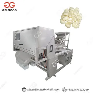Wholesale High Quality Garlic Color Sorter New Intelligent Color Sorter Machine thumbnail-1
