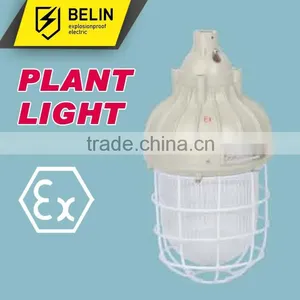 CCd-93 Explosion Proof Light thumbnail-1