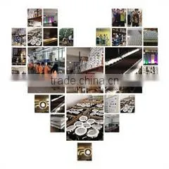 Zhongshan Lanyan Lighting Technology Co., Ltd. company overview - view 3 thumbnail