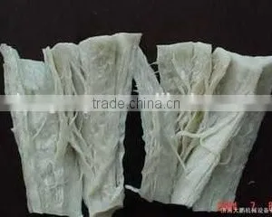 Tissue Proteins Extruder Machine/Equipment thumbnail-1