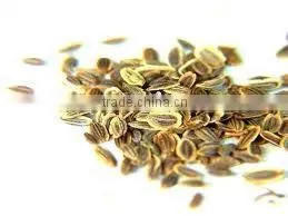 Dill Oil (Anethum Sowa ) thumbnail-2
