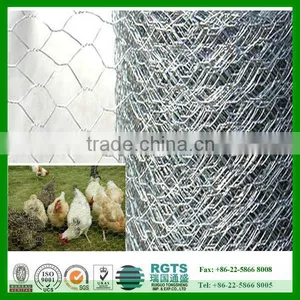 Hot Sale Prime Hexagonal Wire Mesh/ Chicken Wire Mesh With Low Price thumbnail-1