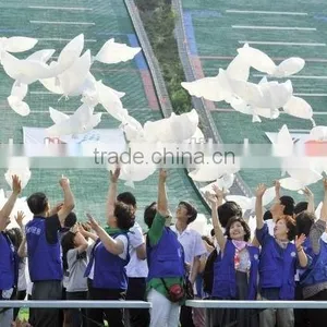 2016 Wedding Helium Inflatable Biodegradable White Dove Balloons For Wedding Decoration Doves Dhaped Bio Balloons Quality Choice thumbnail-5