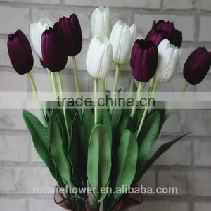 Classial Natural Flower White Tulip Flower With Supply thumbnail-3