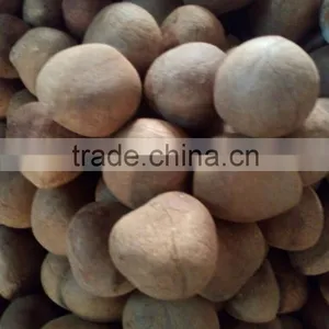 Dried Coconut Meat Ball Copra From India thumbnail-2