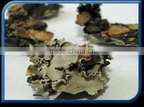 Stone Flower. thumbnail-1