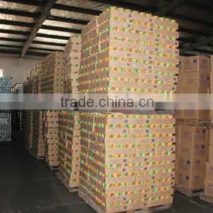 High Quality and Cheap Wholesale Best Canned Food Factory thumbnail-6