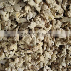 We Are Supply Dried Ginger With Good Price thumbnail-4