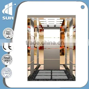 800kg Machine Roomless Passenger Lift With Mirro Etching Cabin thumbnail-1
