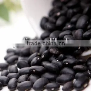 Canned Black Kidney Beans in Brine thumbnail-4