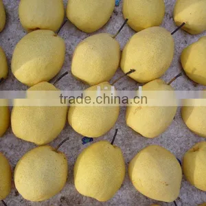 su Pear/fresh Pear thumbnail-1
