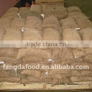 Chestnut From China thumbnail-1