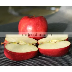 2016 New Crop Fresh Apple China Gansu Tianshui Huaniu Apple thumbnail-1
