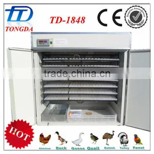 Export to Turkey TD-1848 Full Automatic Quail Incubator thumbnail-1