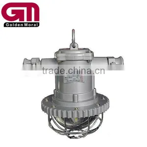 DGS30/127L Explosion-proof Led Laneway Lights thumbnail-1