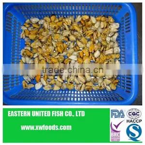 IQF Cooked Blue Frozen Mussel Meat thumbnail-1