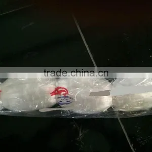 Fishing Net thumbnail-1