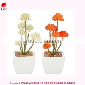 Nice Cheap Artificial Mini Succulent Plants Artificial Plants High Quality Fake Succulent Plants thumbnail-1