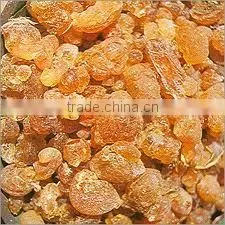 BABUL BARK thumbnail-1