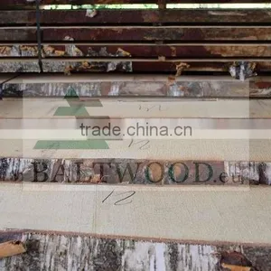 White Birch Lumber Unedged thumbnail-3