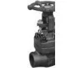 Forged Steel Industrial Globe Valve thumbnail-1