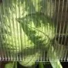 Anti-Fog Twin-Wall Polycarbonate Sheet thumbnail-1