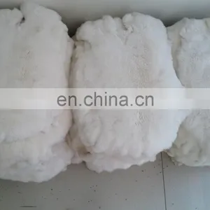 Wholesale Rex Rabbit Fur Skin / LTF-CED234 Can be Dyed Into Chichilla Color thumbnail-4