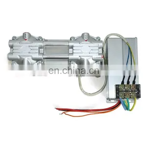 Global Quality DC 24V Two Stage Portable Oil Free Piston Vacuum Pump thumbnail-6
