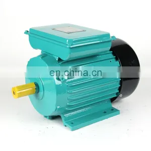 YL Sery Single Phase Magnetic Motor Sale thumbnail-1