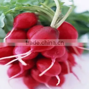 Food Additives Radish Red Pigment thumbnail-1