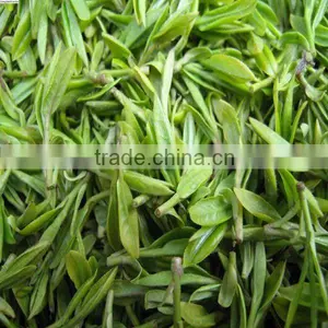 Jun Shan Yin Zhen Yellow Tea Organic Traditional Chinese Yellow Tea thumbnail-2