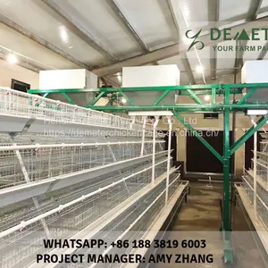 Chicken Layer Cages for Sale thumbnail-3