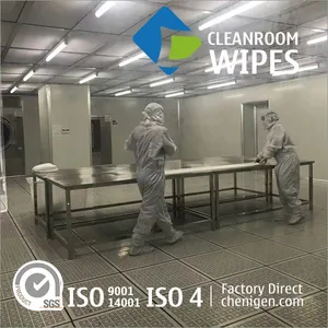 Customized Class 10 Large Polyester Wipers Cleanroom Wipes thumbnail-3
