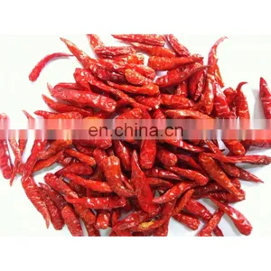 Dried Red Chilli From Vietnam With Competitive Price thumbnail-1