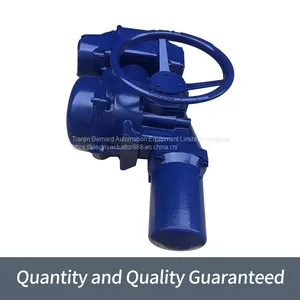 Bernard Original Angle Stroke Electric Actuator ST14+RS400 Electric Gate Valve Device thumbnail-4