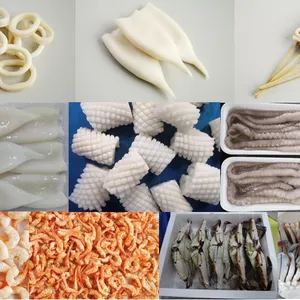 Hand Foods (Dalian) Co., Ltd. company overview - view 2 thumbnail