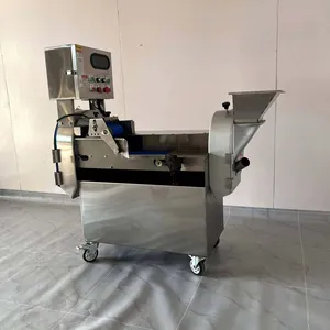 Stainless Steel Inverter Double Cutting Head Vegetable Cutter Machine thumbnail-1