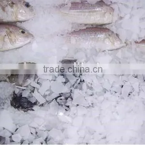 4.0T Large Capacity Fresh Water Ice Flake Maker Machine thumbnail-4